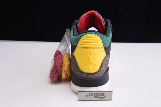 Reps TBK 2.0 Animal Air Retro Jordan - Instinct SE CV3583-003 3 0427